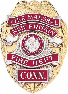 Badge with Eagle and Reverse Enamel Applied Panels