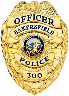 Badge with Eagle and Applied Panels