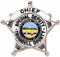 Five Point Star Badge with Circular Panel