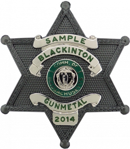 Six Point Star Badge