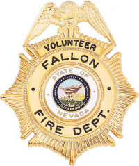 Sunburst Badge with Eagle and Circular Panel