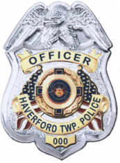 Shield Badge with Eagle and Full Color Flags