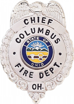 Eagle Badge with Wreath Sides