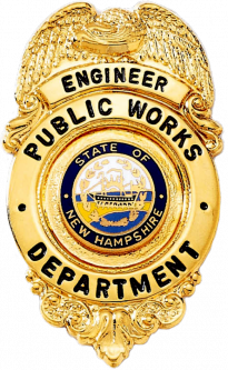 Eagle Badge with Large Center Ring