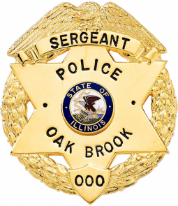 Eagle, Wreath, and Star Combo Badge