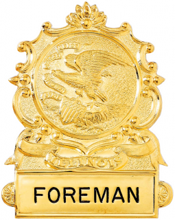 Illinois Eagle Badge with Bottom Panel