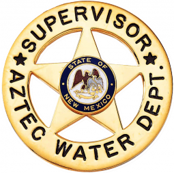 Five Point Star Badge with Outer Ring