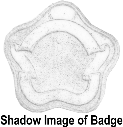 Main image of this item