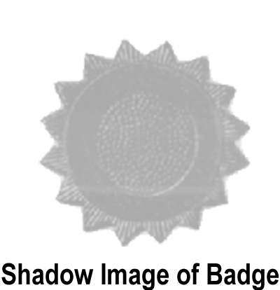 Main image of this item
