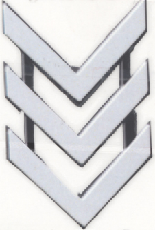 3 Chevron Plain