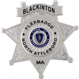 Decorative Seven Point FlexBadge Star