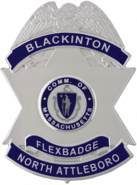 Six Point FlexBadge Star with an Eagle atop