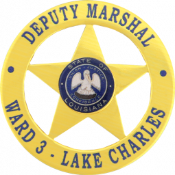 FlexBadge Shield Similar to our BH1976