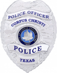 FlexBadge Shield Similar to our B2064