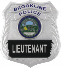 FlexBadge Shield without eagle open panel