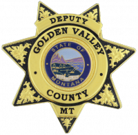 FlexBadge 7 point star Similar to our B448-DE