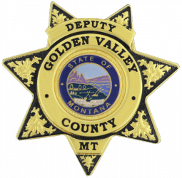 FlexBadge 7 point star Similar to our B448-DE