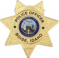 FlexBadge 7 point star Similar to our B448