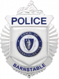 Massachusetts FlexBadge Shield Similar to the B588