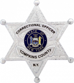 Six Point FlexBadge Star With Ball Tips