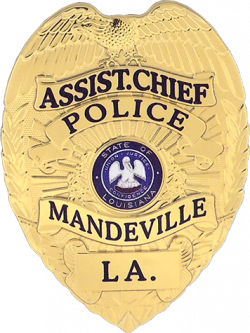 FlexBadge Shield With Eagle