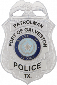 FlexBadge Shield With An Eagle