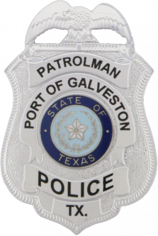 FlexBadge Shield With An Eagle