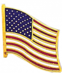 American Flag Pin
