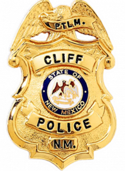 Miniature Badge with Eagle