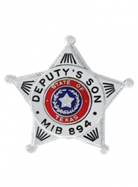 Miniature Five Point Star Badge