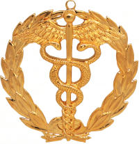 Grand Physician Jewel