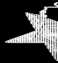 2" Assoc. Patron Jewel