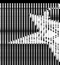 2" Past Matron Jewel