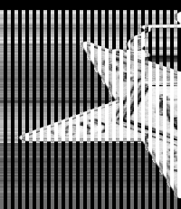 2" O.E.S. Flag Bearer