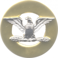 Colonel Insignia