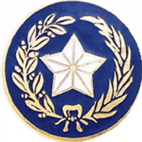 Texas State Seal with no Rim