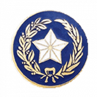 Texas State Seal with no Rim