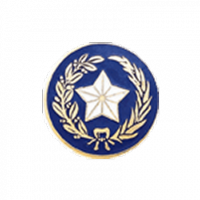 Texas State Seal with no Rim