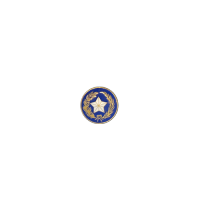 Texas State Seal with no Rim