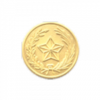 Plain Texas State Seal