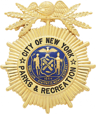 Sunburst Eagle Topped Badge E129A