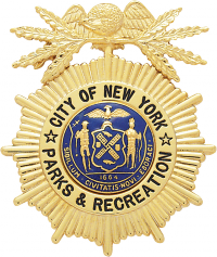 Sunburst Eagle Topped Badge E129A