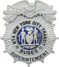 Sunburst eagle topped badge E129B