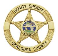 5-pt Star Ball Tipped Badge in Round Disk E3010-A