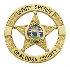 5-pt Star Ball Tipped Badge in Round Disk E3010-A