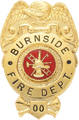 Eagle Topped Badge F111