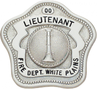 Shield Type Badge F-999