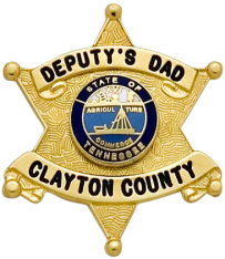 6 Point Star Family Badge FB11