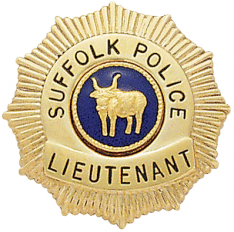 Starburst Family Badge FB18