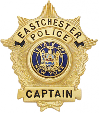 Shield Type Family Badge FB19